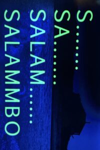 S… Sa… Salam… Salammbô…