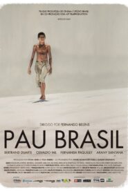 Pau Brasil