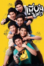 August Friends
